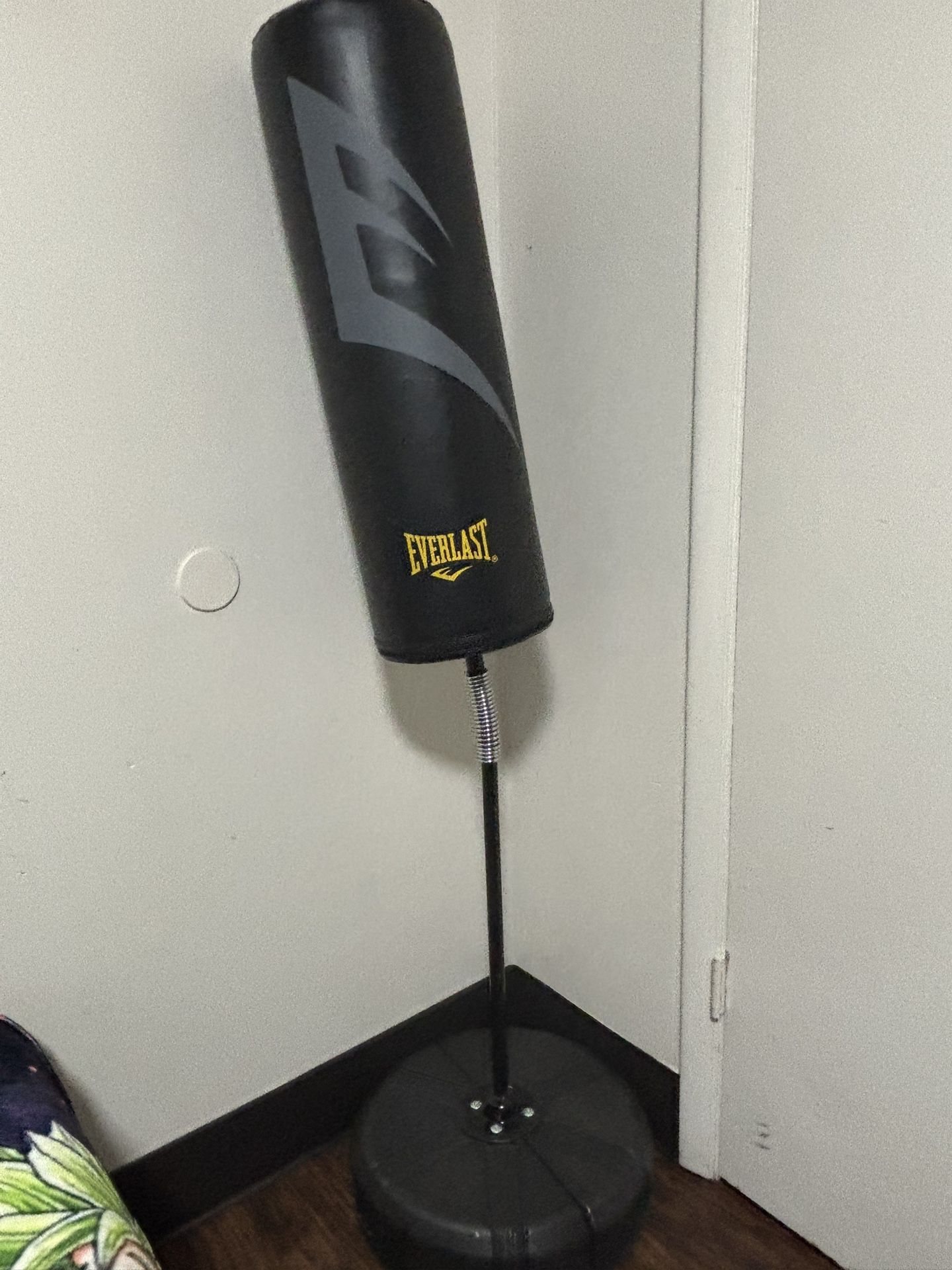 Everlast Punching Bag