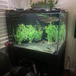 200 Gallon Acrylic Aquarium 4’x3’x30”