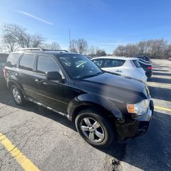 2010 Ford Escape