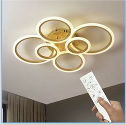 Modern LED Ceiling Light Fixture