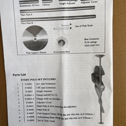 Professional Dancer Pole