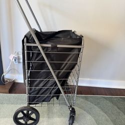 Grocery Cart With Liner