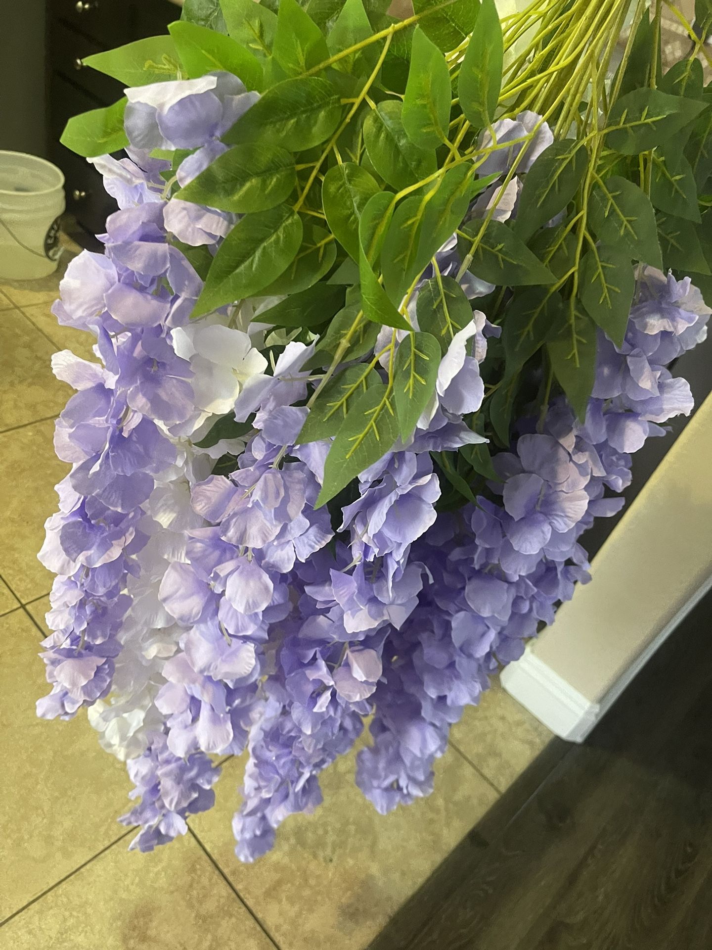 Wisteria Flowers 