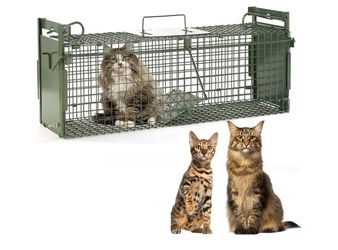 40" Large Double-Door Live Animal Traps Cage