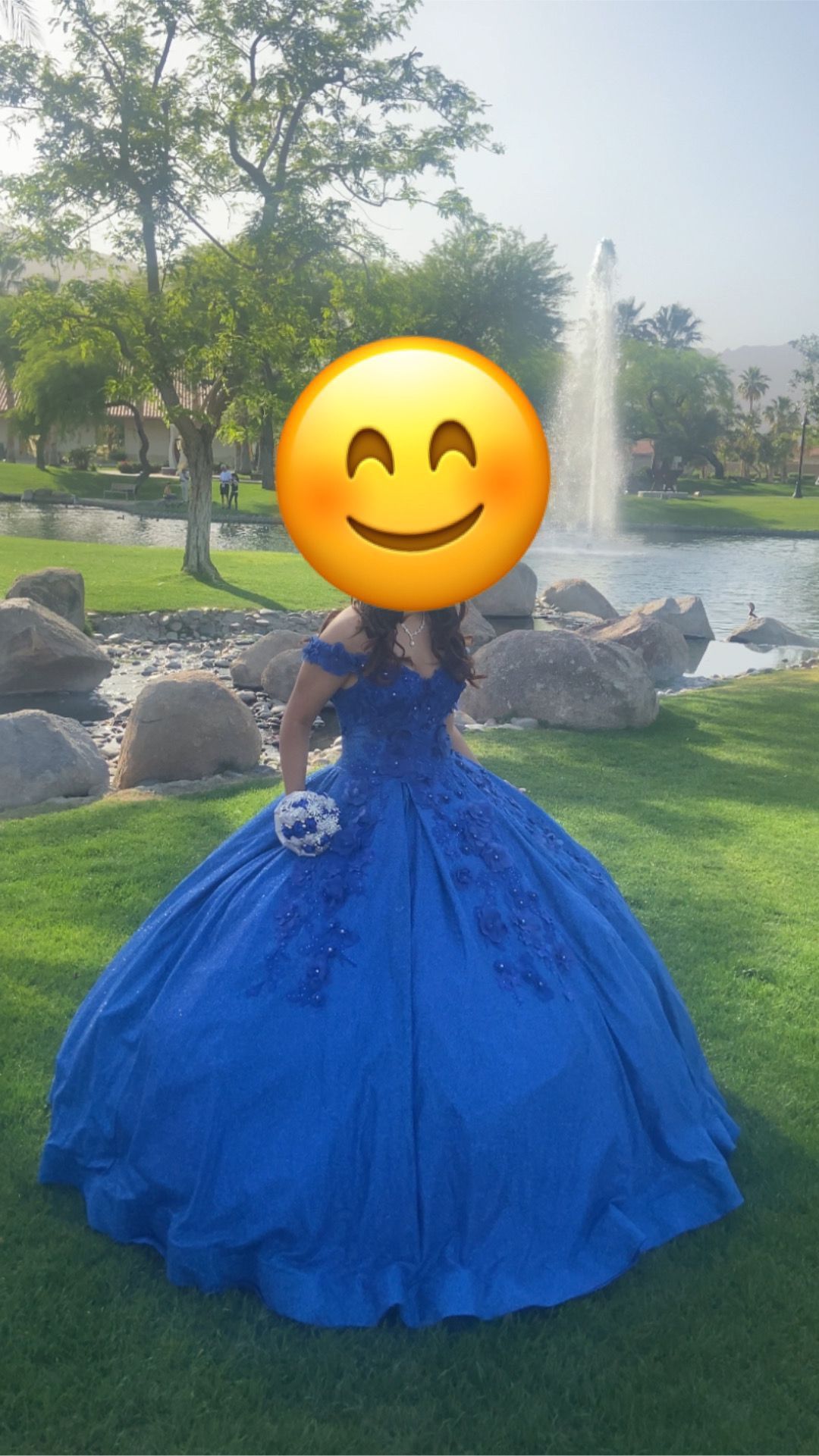 Quinceañera Dress 