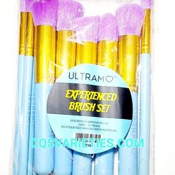 Makeup Brushes 10pc Set Brand New 