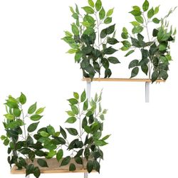 Cat Wall Shelves / Platforms