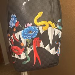 Sprayground Backpack  