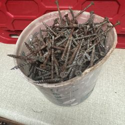 Free Bucket of Screws