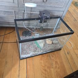 10 Gallon Fish Tank