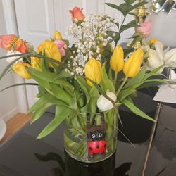 Lily Of The Valley Plants  Free