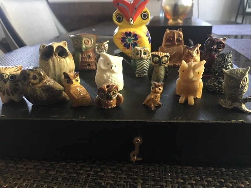 Mini owl collection