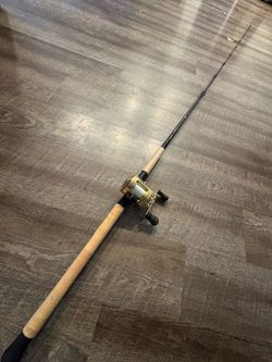 Shimano Teramar 8’ 10-20 new and Shimano Calcutta Conquest 400 salt water fishing combo.