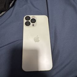 iPhone 13 Pro Max With TikTok