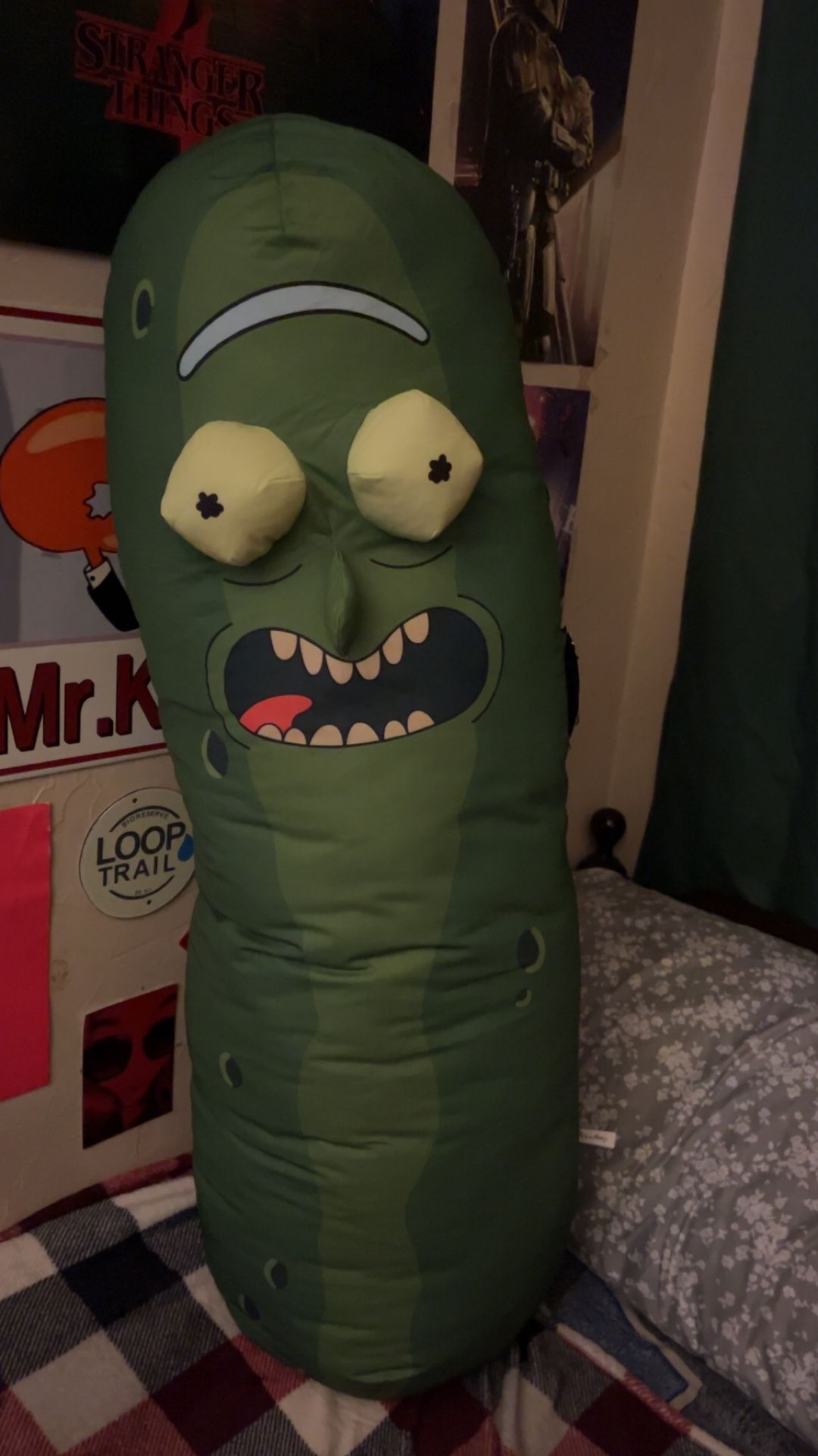 Giant Pickle Rick plush