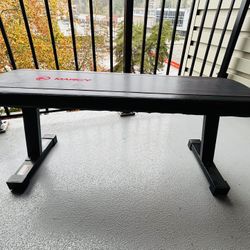 Exercise bench.