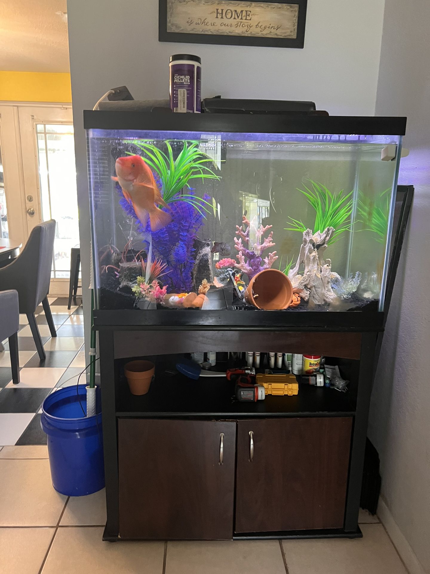 Fish Tank And supplies 