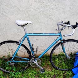 Schwinn 10speed (Vintage)