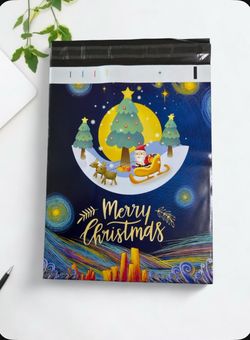Poly Mailers 10x13 Set of 10