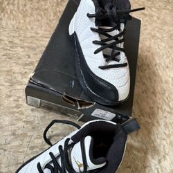 jordan 12