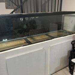 125 gallon tank and stand