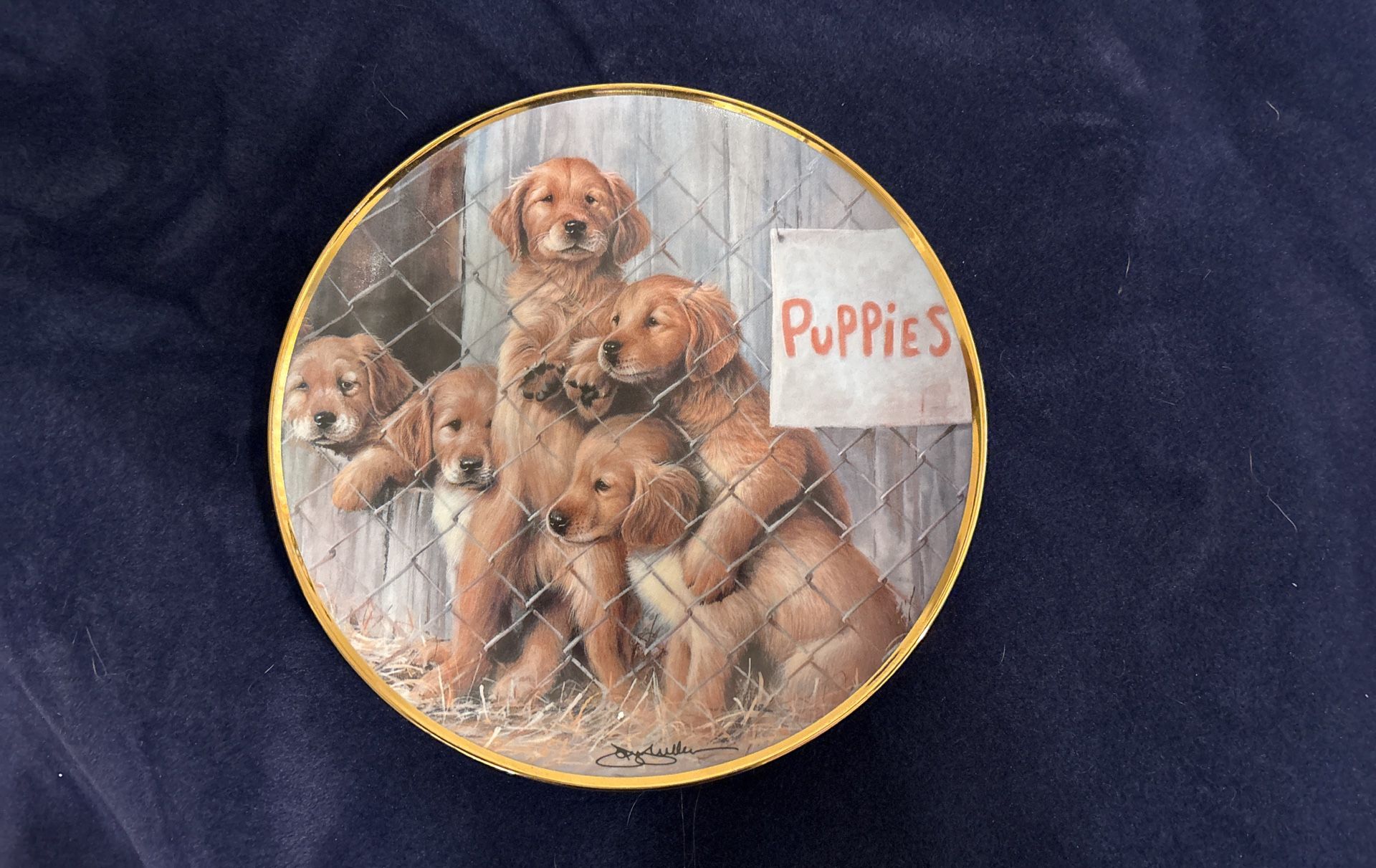 The Franklin Mint - Adopt A Puppy