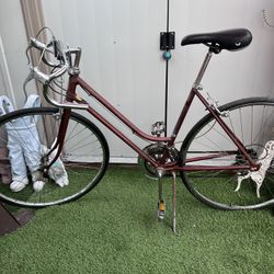 1970’s Schwinn Varsity 