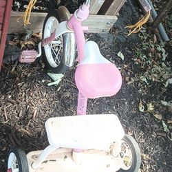 Three-wheel Tricycle With The Bell