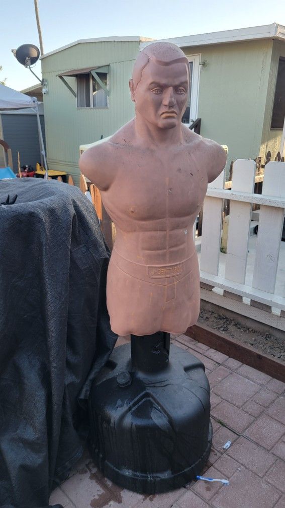 Punch bag/dude