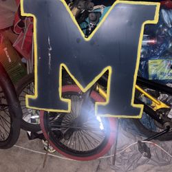 U Of M Garden Decor