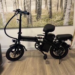 A1 14inch Electric Bike