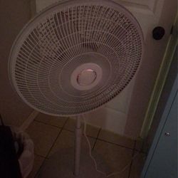 Fan 