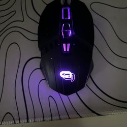 MOUSE