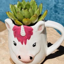 Unicorn Mug With Moonstone Succulent 