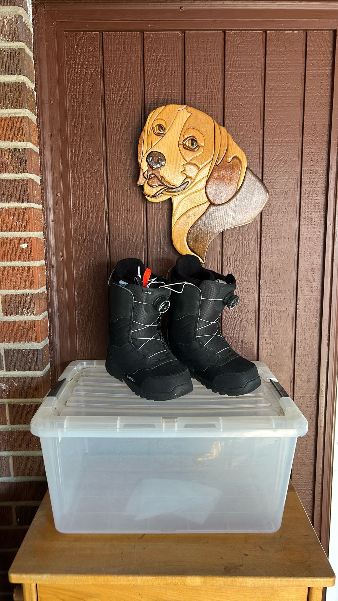 Snowboard Boots