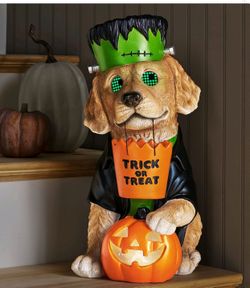 Member's Mark Pre-Lit Wonky Eye Character Decor $29.99