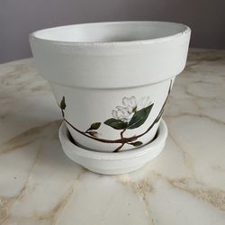 Terracotta plant pot with matching tray hand painted in Dixie Belle fluff with Prima design Magnolias. 