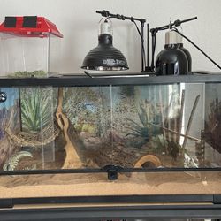 Reptile Terrarium (18x36) 40 Gallon