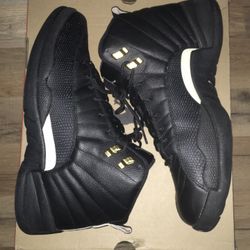 Jordan Retro 12 Master
