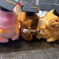 graduation