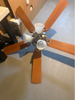Ceiling fans