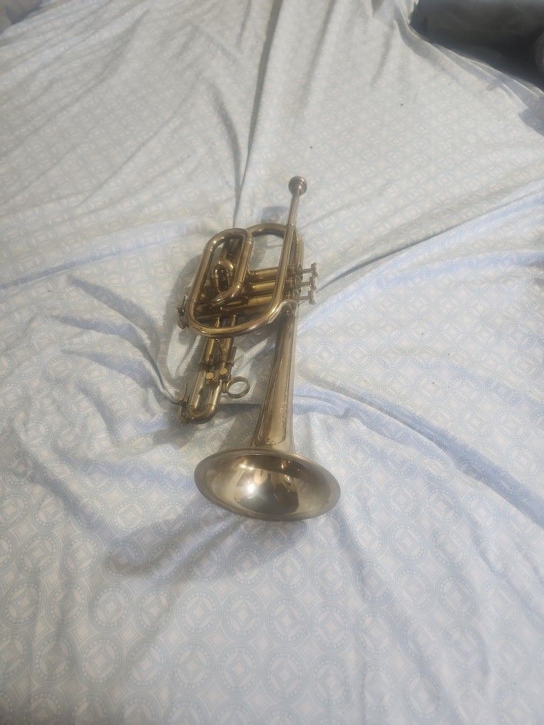 Trumpets 