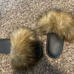 Fur slides 
