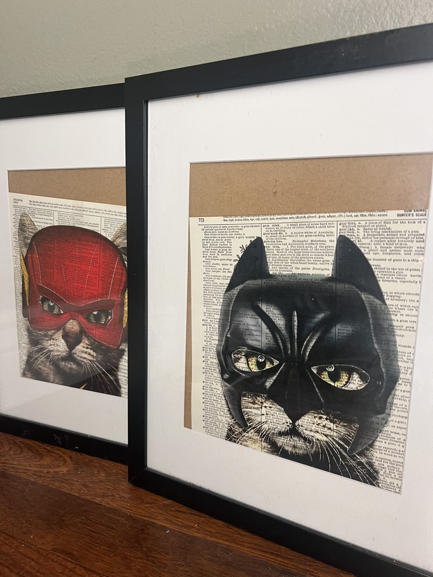 Cat Comic Photos 