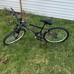 Roadmaster Bike 