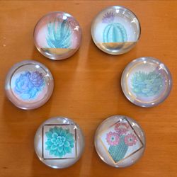 Flower & Succulent Magnets (Qty. #6)