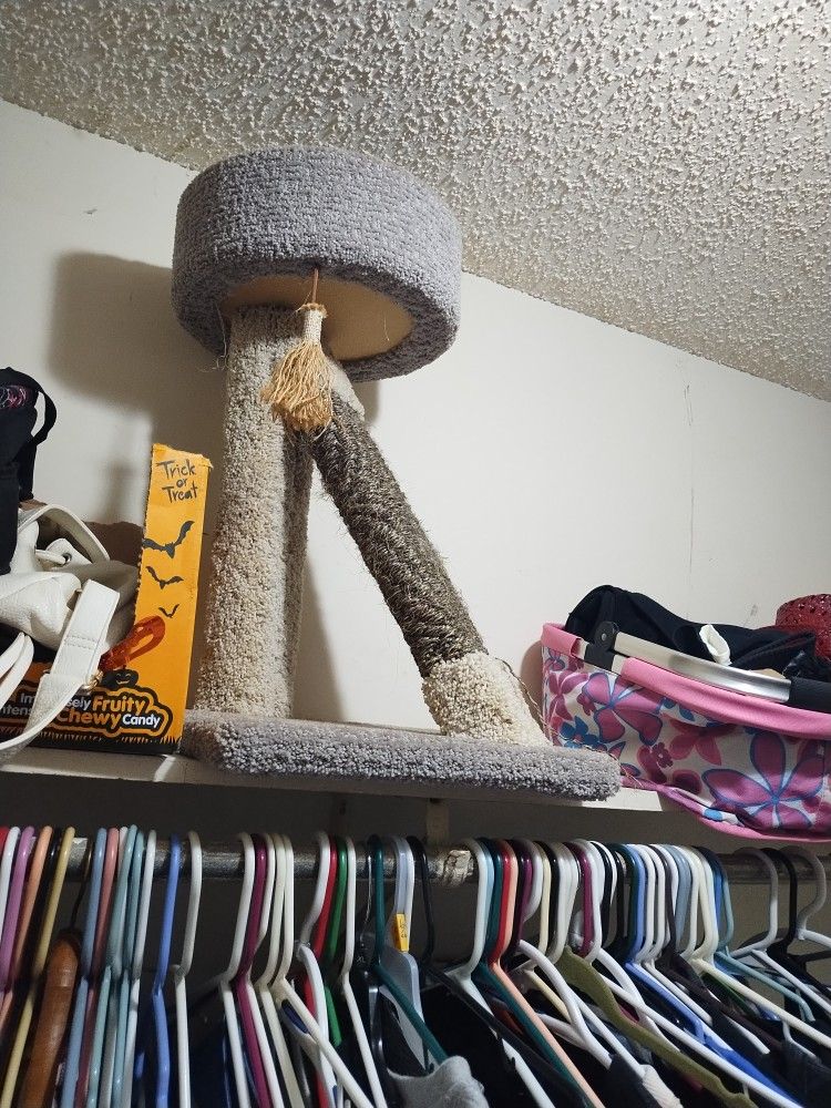 Small Cat Tree