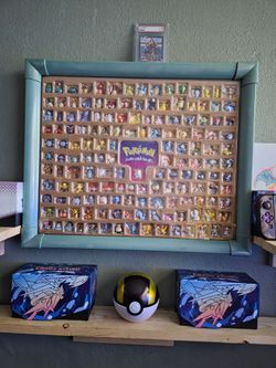 Pokémon collection case