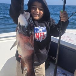 Need 2 To Fish Coronados 