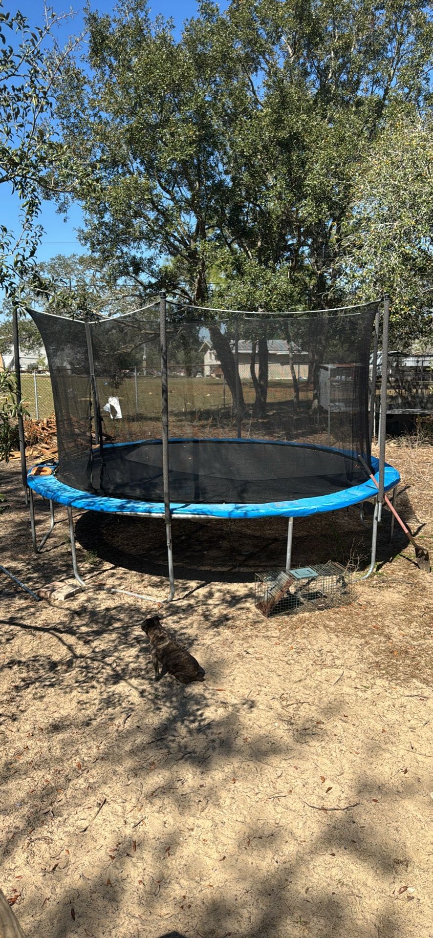 Larger Trampoline- 15’